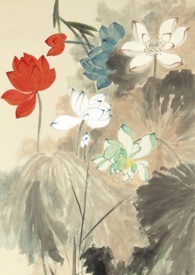 清风纪实